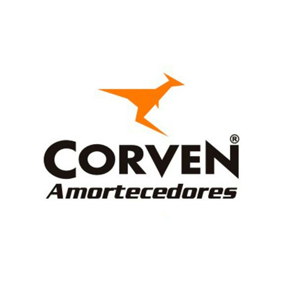 https://www.fastautopecas.com.br/media/catalog/product/cache/1/image/1200x1200/9df78eab33525d08d6e5fb8d27136e95/a/m/amortecedor-traseiro-corven-ford-ka-97-07.jpg